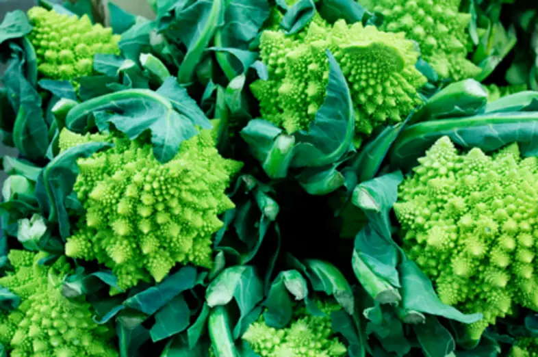 Romanesco_1