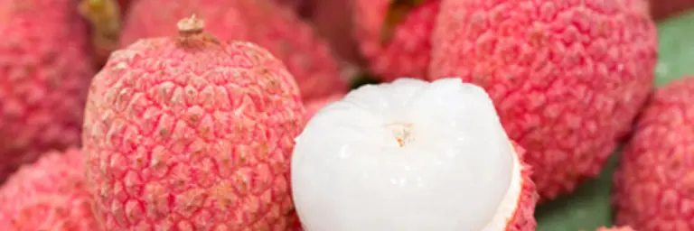 Litchi