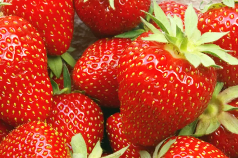 Fraises_3