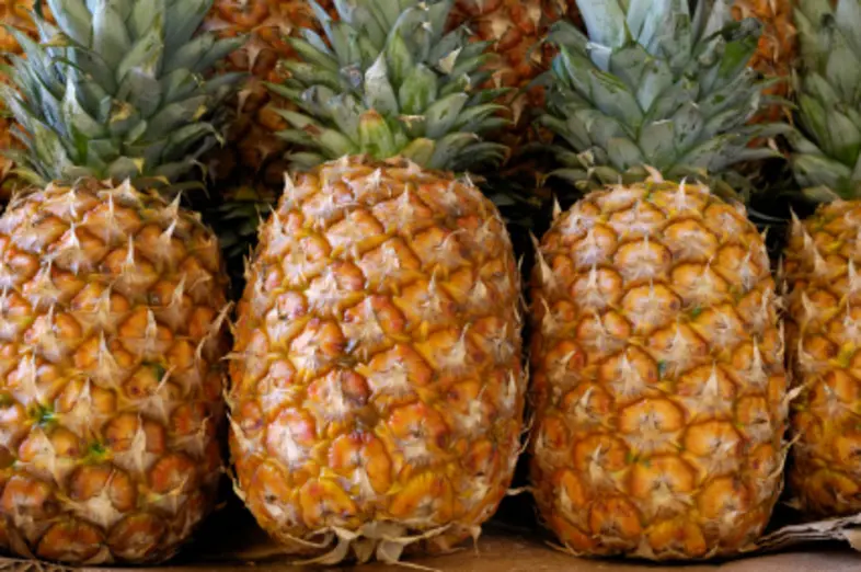 Ananas_3