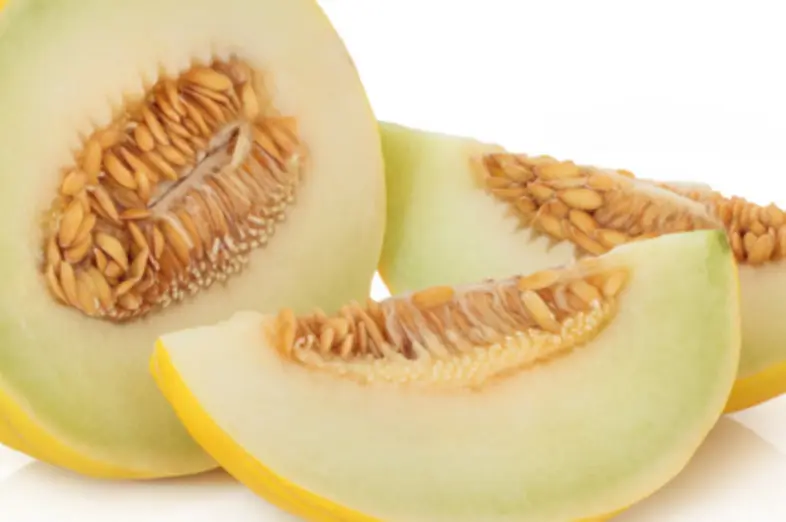 Honeydew melons_2