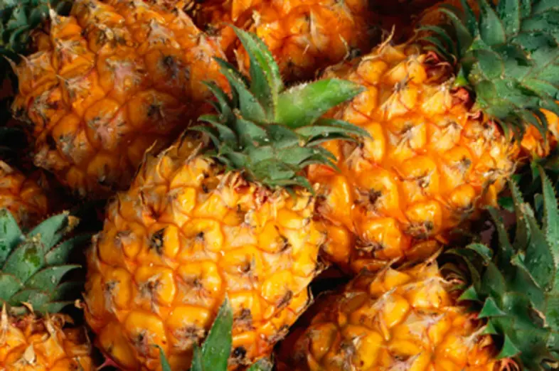 Ananas_1