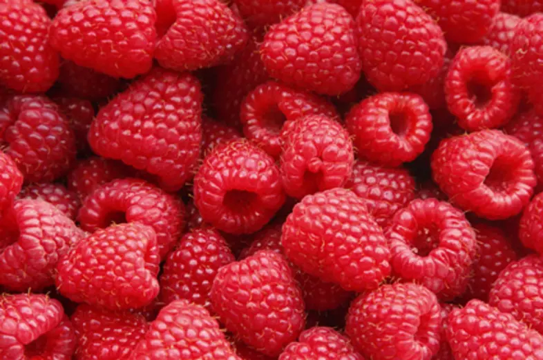 Framboise_2