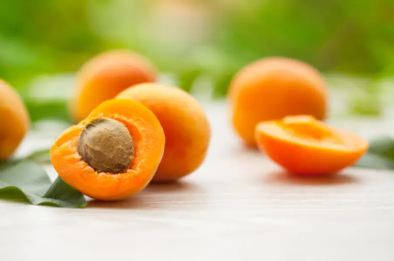 Apricots_1