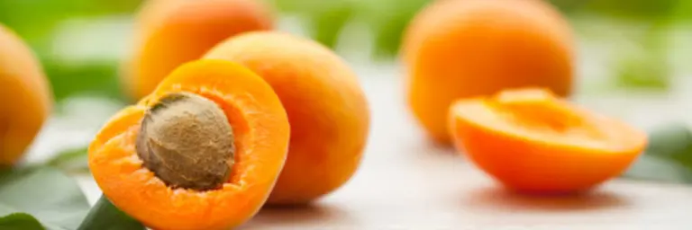 Apricots