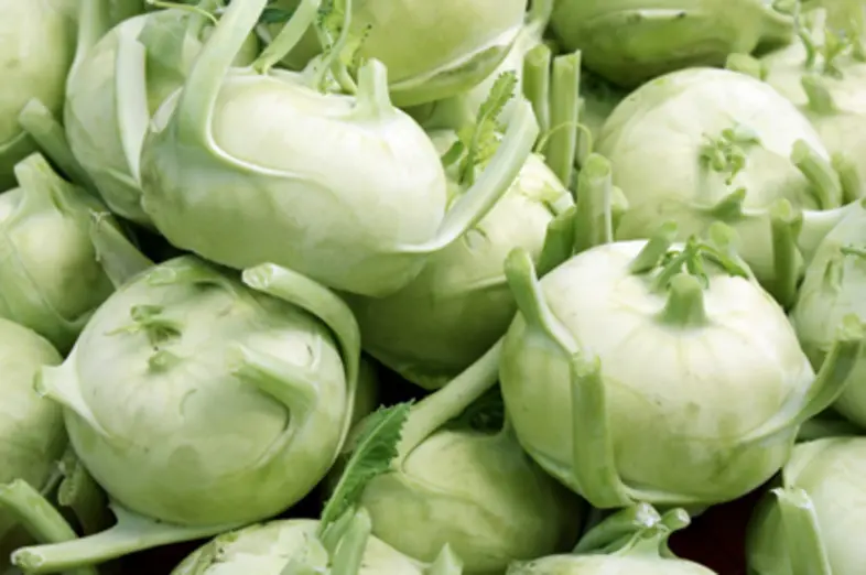 Kohlrabi_1